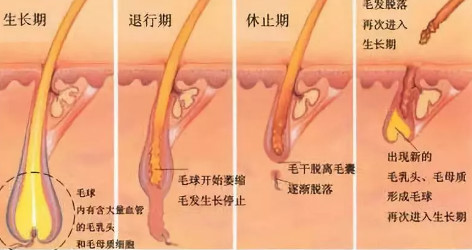 iGLORY完美睫毛增长液，唤醒睫毛逆生长，30天睫毛长一倍