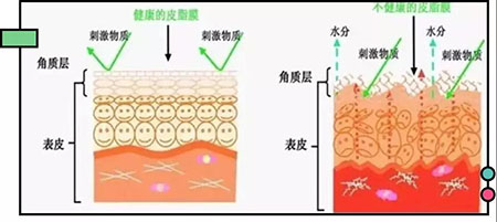 拒绝春季过敏、红肿、发痒！敏感肌的救星来啦~