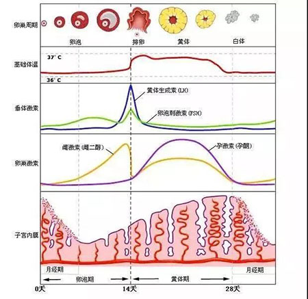 “闭口”这个磨人的小妖精又出来作妖啦！