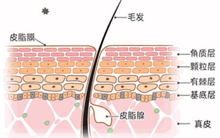 皮肤若缺水，问题千千万